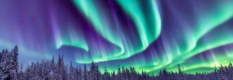 Nordlichter leuchten am Himmel, während verschneiter Wald im Vordergrund liegt. Eine winterliche Landschaft bei Nacht unter einem Sternenhimmel.